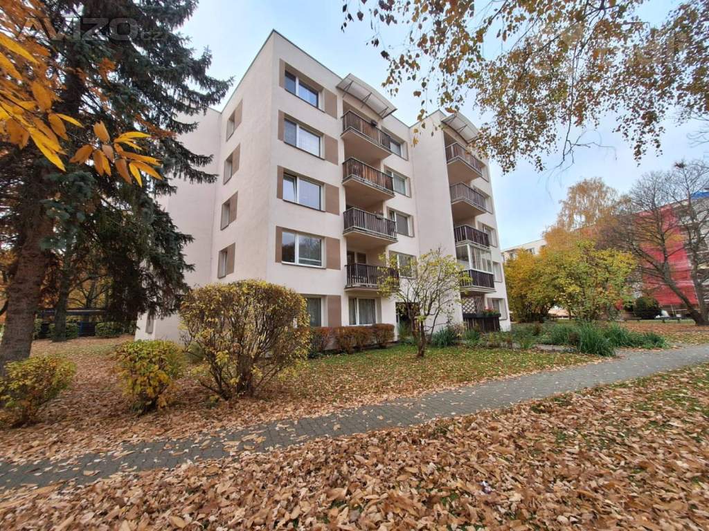 Pronjem bytu 3+1 v České Budějovice, Pražské Předměstí