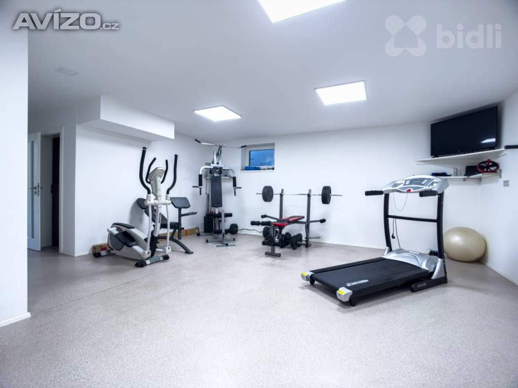 Foto inzerátu Prodej výjimečného domu 4+kk s terasou a zahradou - Roudnice nad Labem