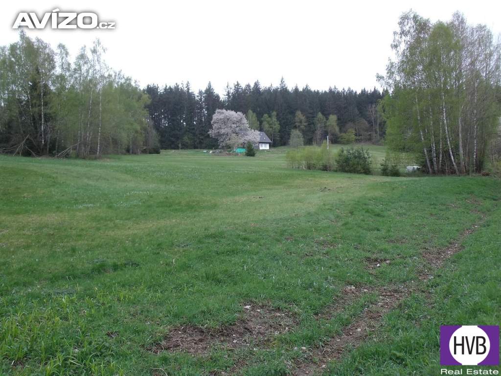 Prodej  pozemku o výměře 4.039 m2 Přední Výtoň - Frýdava