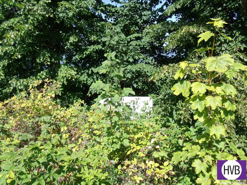 Foto inzerátu Prodej loděnice Radslav Černá v Pošumaví 16 m2