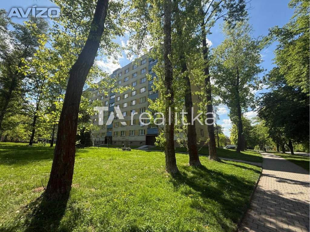 Pronájem, byt 3+1, 74 m2