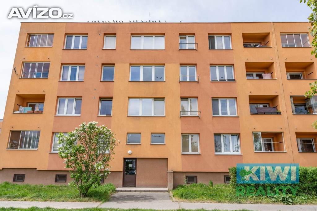 Prodej, byt 2+1, Ostrava-Dubina, ul. Václava Košaře