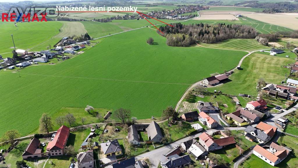Prodej lesa 25 088m2, Spálov