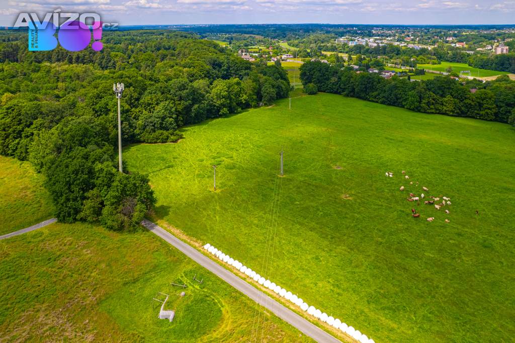 Prodej zemědělského pozemku 6 655 m², Zpupná Lhota, obec Chotěbuz