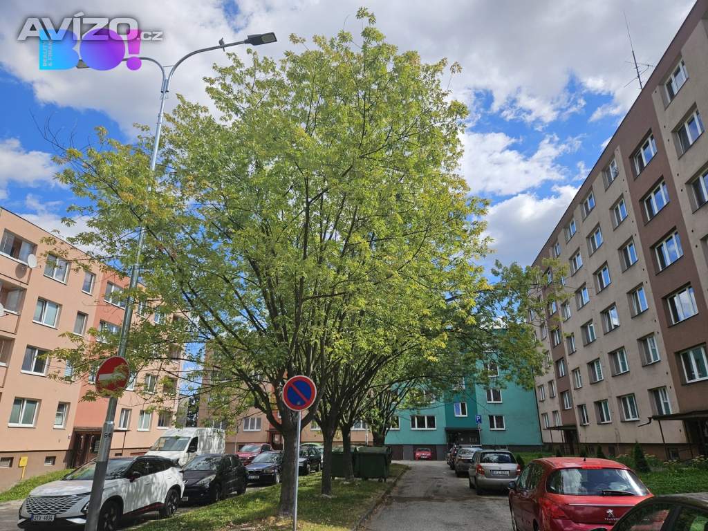 Pronájem bytu 2+1, 44 m², ul. Václava Košaře, Ostrava