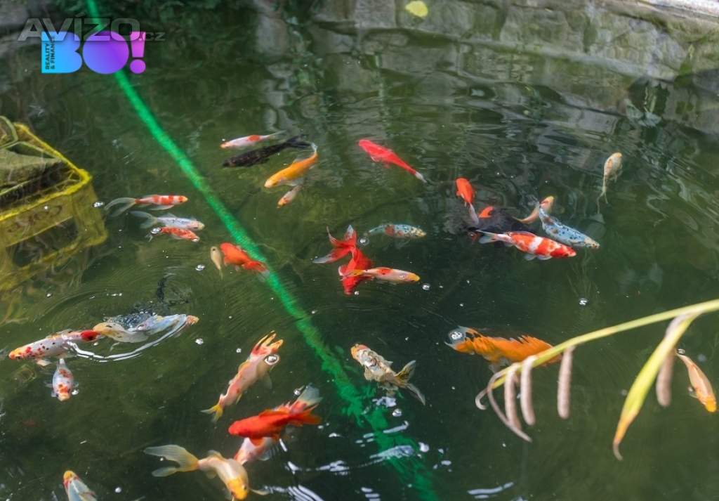 Foto inzerátu Prodej rodinného domu / vily, České Budějovice