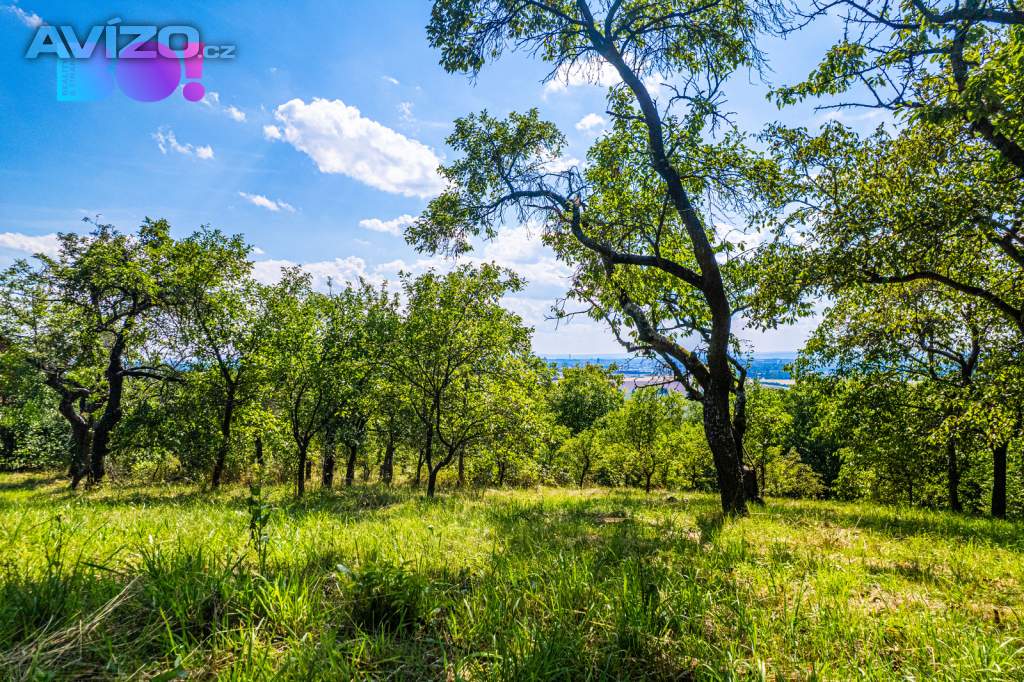 Foto inzerátu Prodej zahrady Samotišky