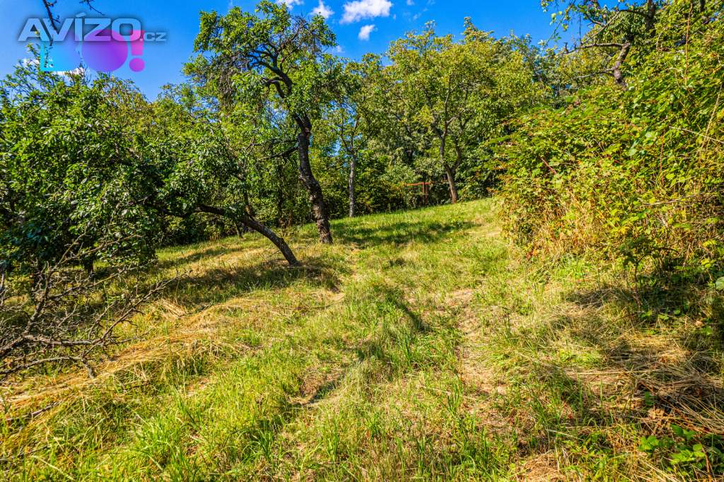 Foto inzerátu Prodej zahrady Samotišky