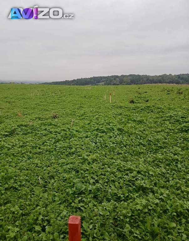 Foto inzerátu Prodej stavebního pozemku 1000 m² Vřesina u Ostravy
