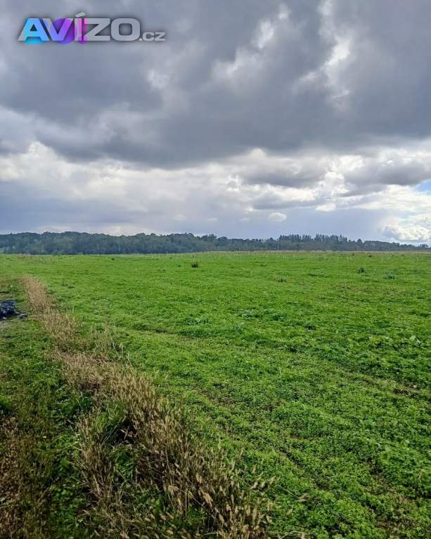 Foto inzerátu Prodej stavebního pozemku 1000 m² Vřesina u Ostravy