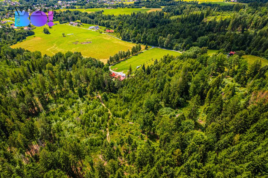 Foto inzerátu Prodej lesa, 12430 m², Písek