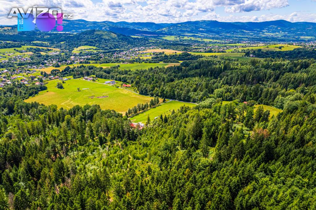 Foto inzerátu Prodej lesa, 12430 m², Písek