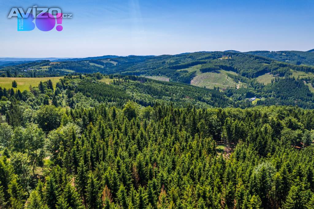 Foto inzerátu Prodej chalupy 196 m², pozemek 6 428 m², Na Trojáku, Rajnochovice