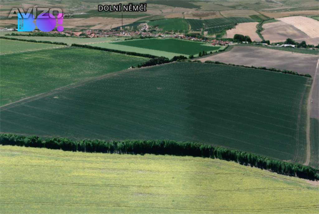 Foto inzerátu Prodej pole, 16 693 m², Dolní Němčí