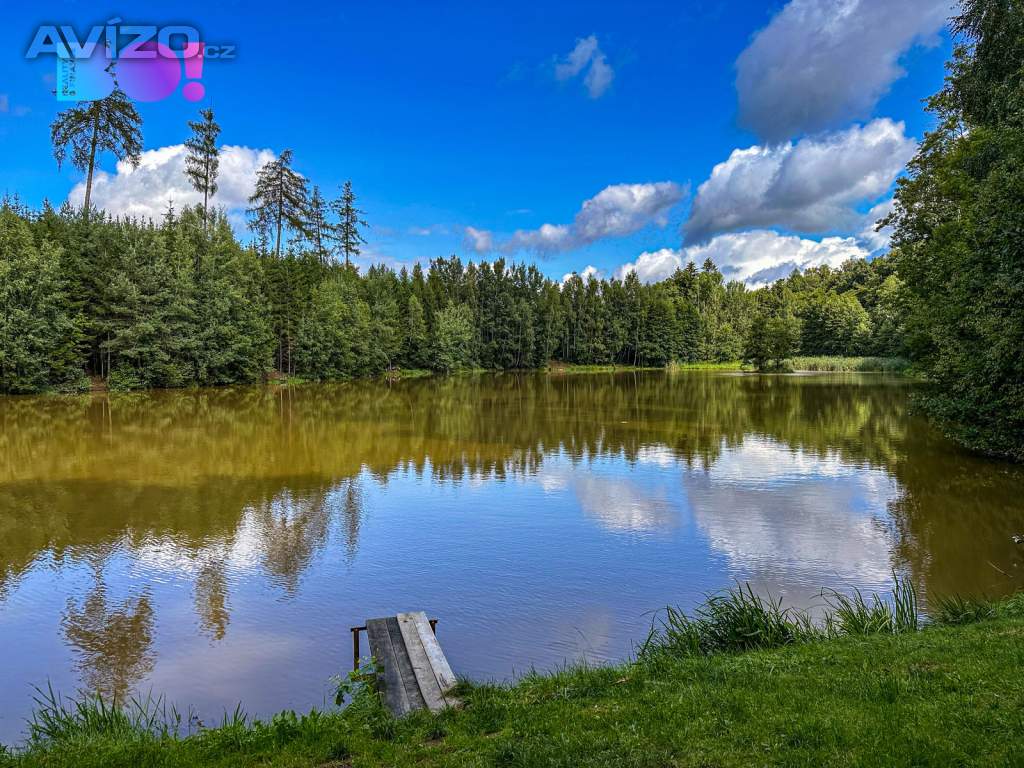 Foto inzerátu Prodej pozemku pro bydlení 3959 m², Skuhrov