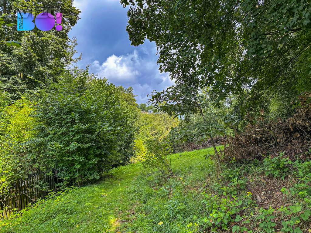Foto inzerátu Prodej pozemku pro bydlení 3959 m², Skuhrov