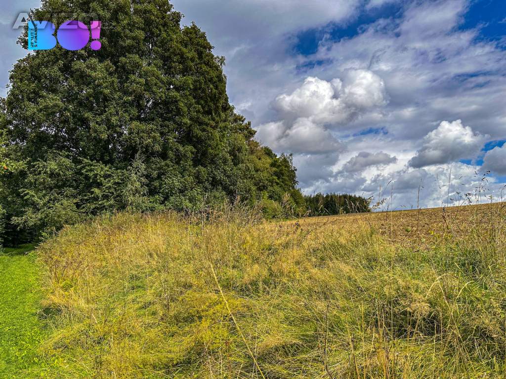 Foto inzerátu Prodej pozemku pro bydlení 3959 m², Skuhrov