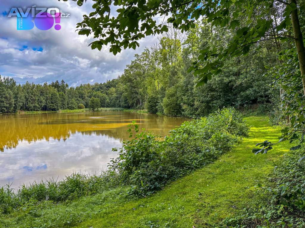 Foto inzerátu Prodej pozemku pro bydlení 3959 m², Skuhrov