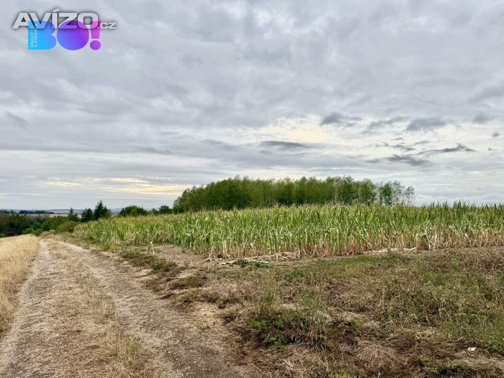 Foto inzerátu Prodej stavebního pozemku 1949 m², Pucov, okres Třebíč