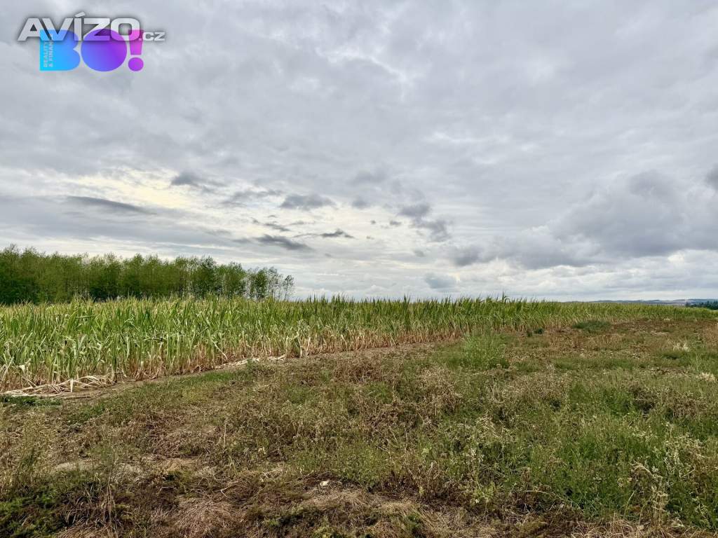 Foto inzerátu Prodej stavebního pozemku 1949 m², Pucov, okres Třebíč