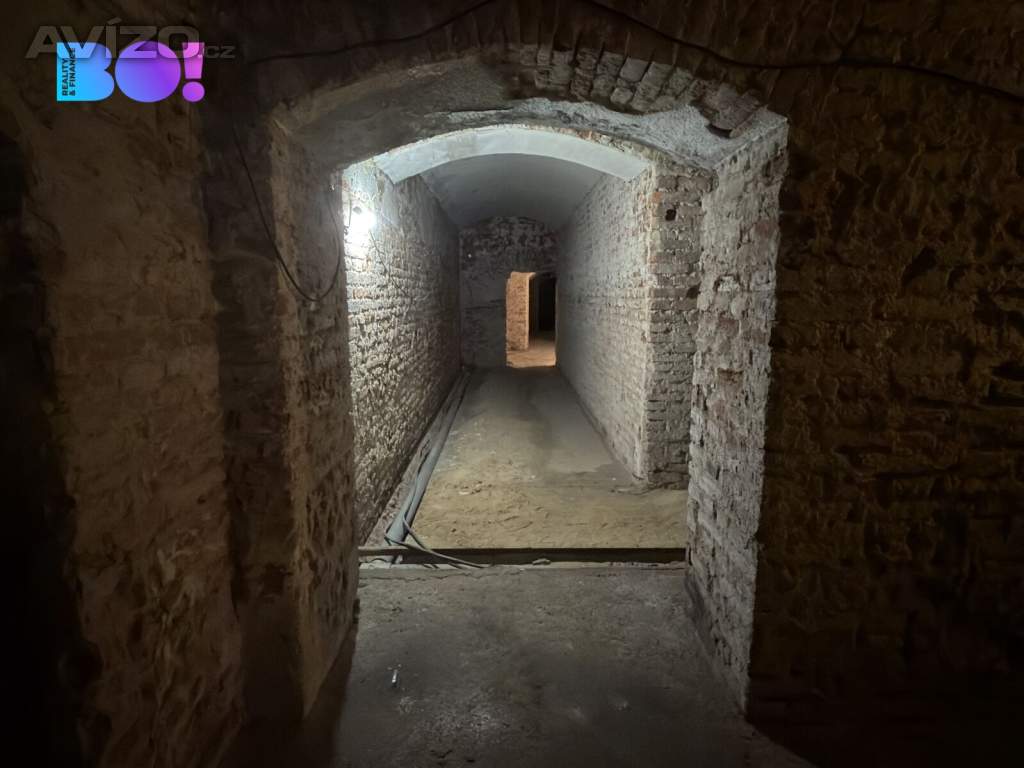 Foto inzerátu Pronájem komerčního prostoru 317 m², Ostrovní, Praha 1 – Nové Město