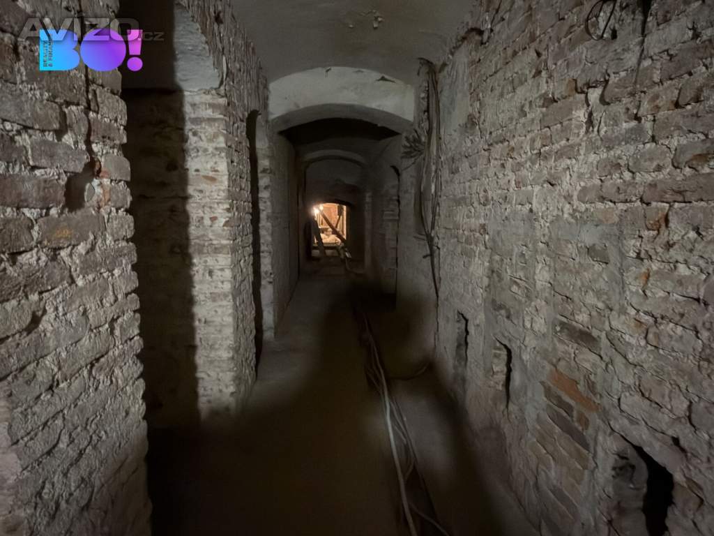 Foto inzerátu Pronájem komerčního prostoru 317 m², Ostrovní, Praha 1 – Nové Město