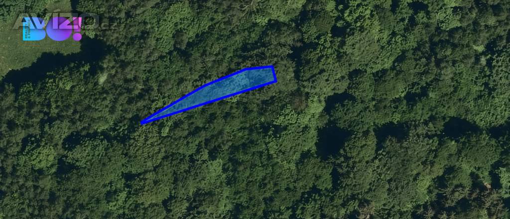 Foto inzerátu Prodej lesa, 1 752 m2, Vsetín