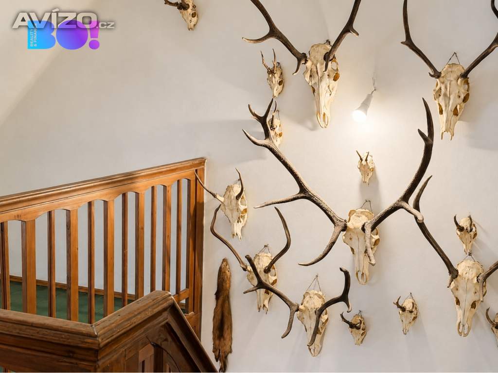 Foto inzerátu Prodej rodinného domu 213 m², pozemek 575 m², Malá Morava