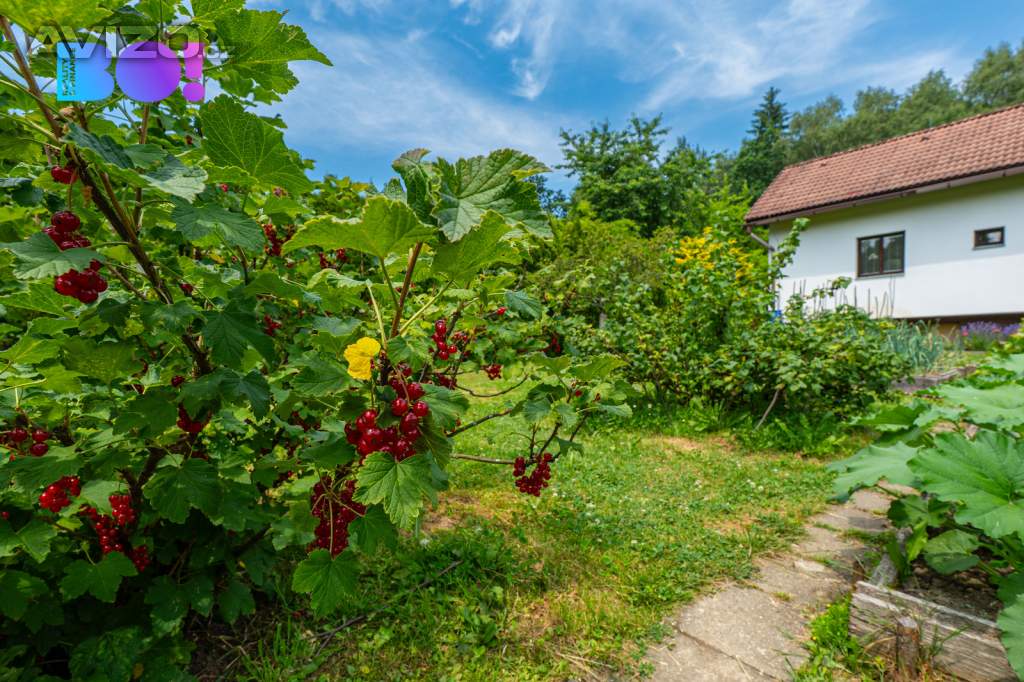 Foto inzerátu Prodej chaty 47 m², pozemek 834 m², Pstruží