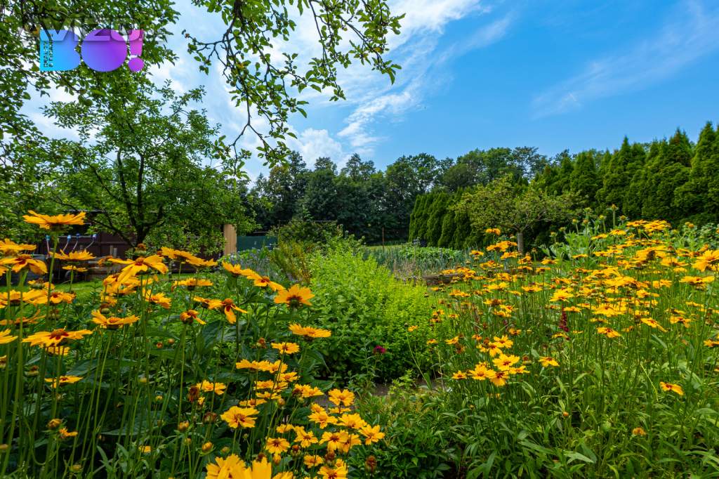 Foto inzerátu Prodej chaty 47 m², pozemek 834 m², Pstruží