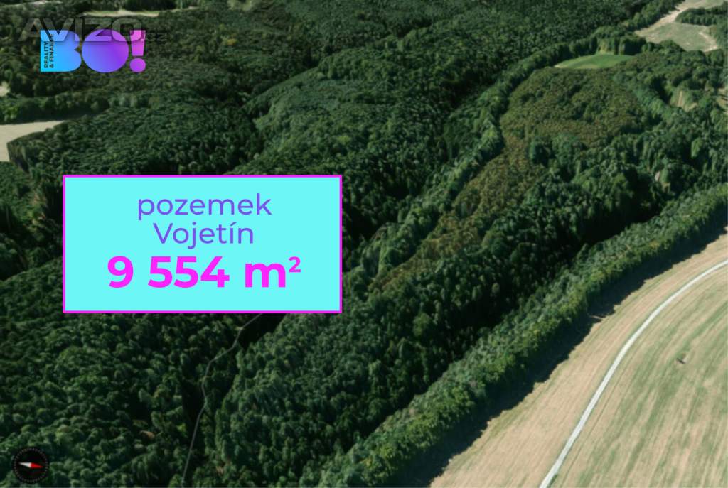 Prodej trvalého travního porostu, 9554 m², Vojetín