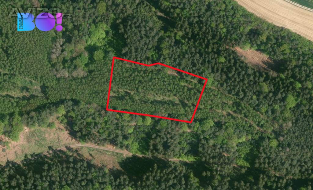 Foto inzerátu Prodej trvalého travního porostu, 9554 m², Vojetín