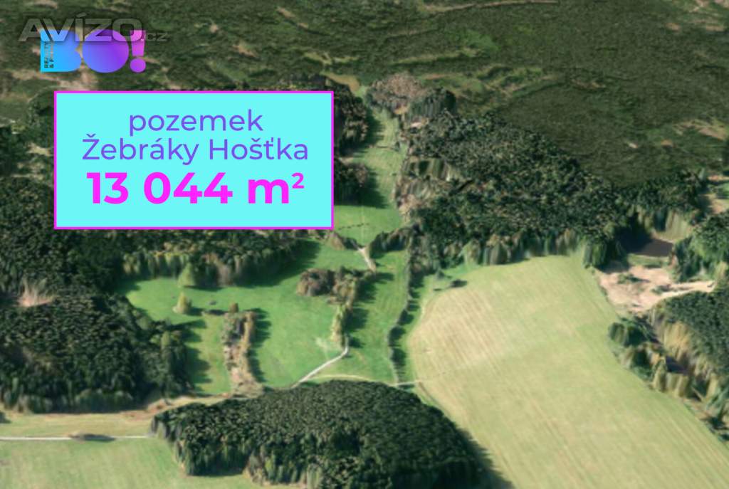 Prodej zemědělského pozemku, 13 044 m², Žebráky, Hošťka