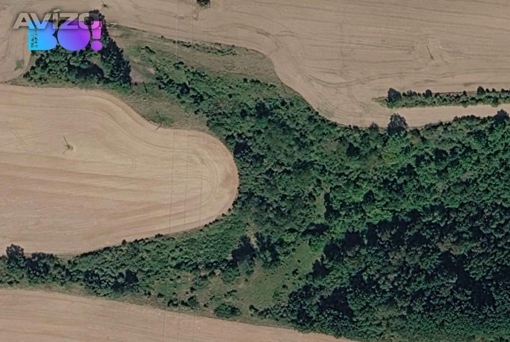 Foto inzerátu Prodej zemědělského pozemku, 42 900 m², Snědovice