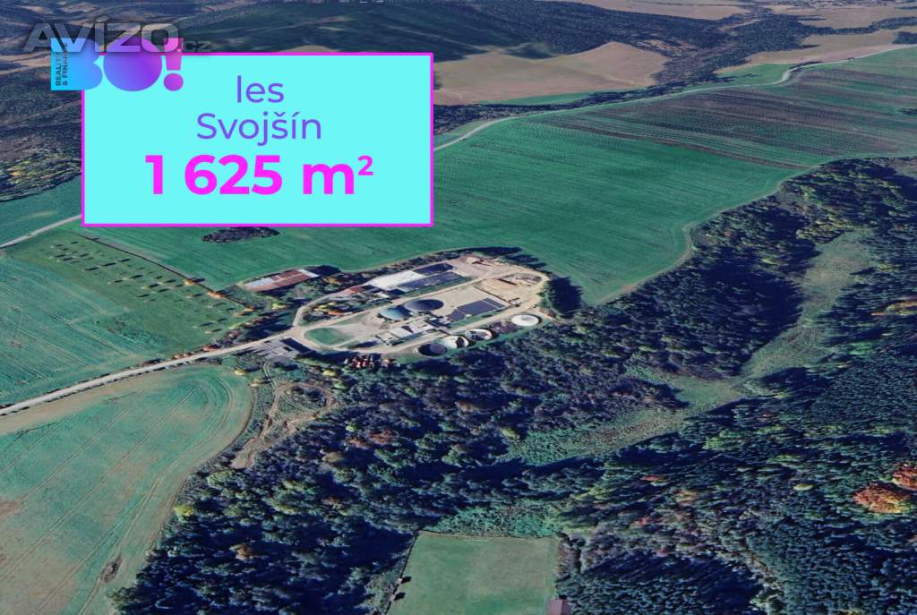 Prodej lesa, 1 625 m², Svojšín
