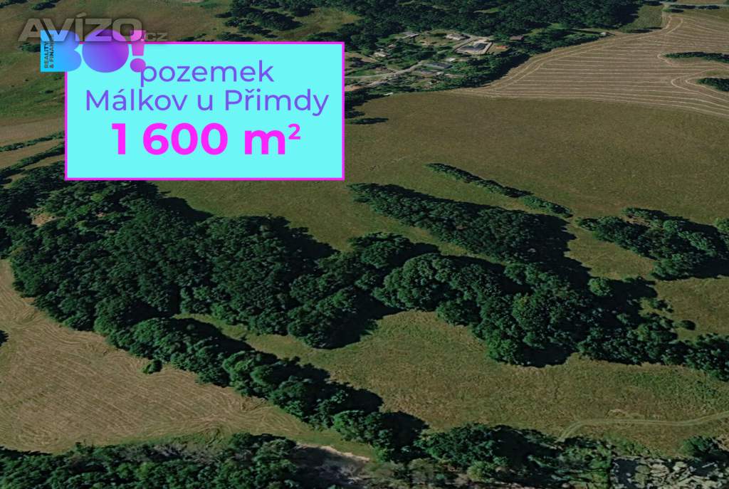 Prodej zemědělského pozemku, 1 600 m², Přimda