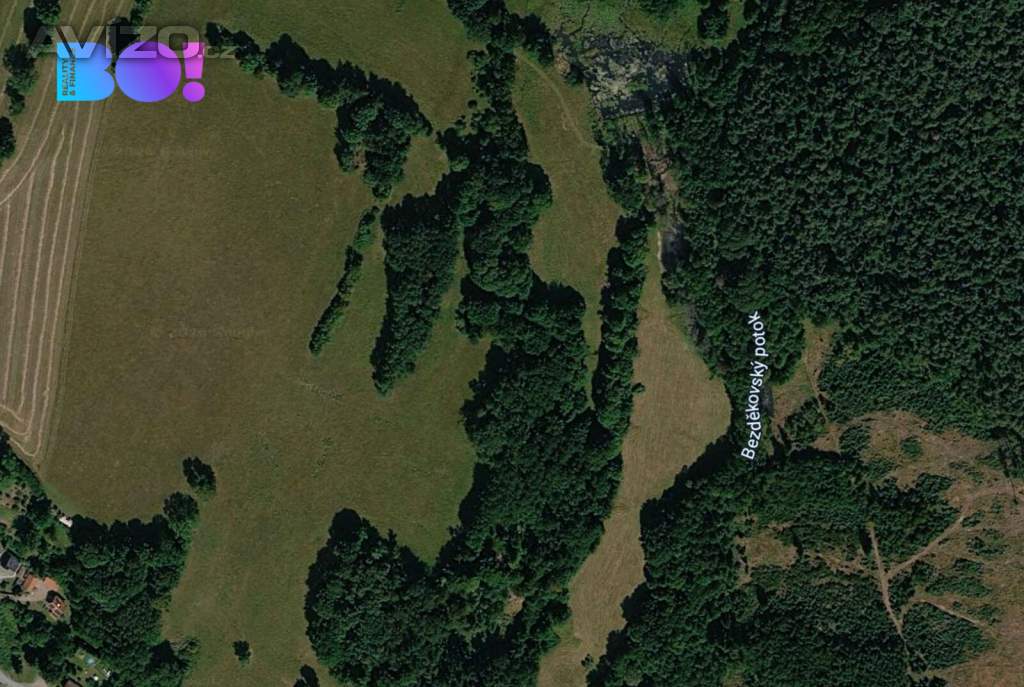 Foto inzerátu Prodej zemědělského pozemku, 1 600 m², Přimda