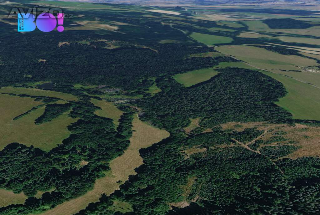 Foto inzerátu Prodej zemědělského pozemku, 1 600 m², Přimda