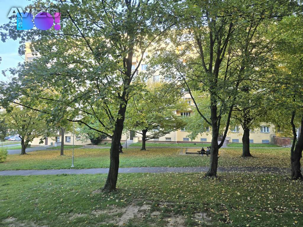 Foto inzerátu Prodej bytu 1+1 s lodžií, Ostrava - Poruba, ul I. Sekaniny