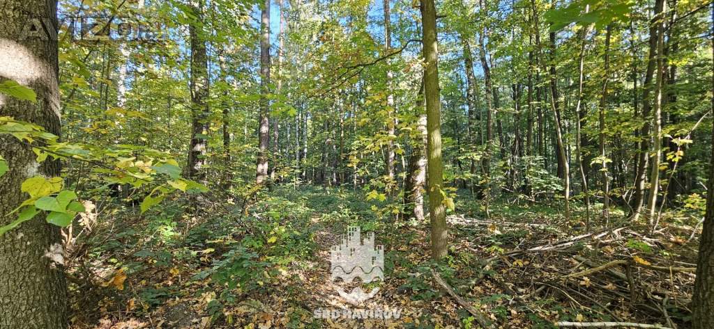 Foto inzerátu Prodej bytu 2+1 50 m², Havířov