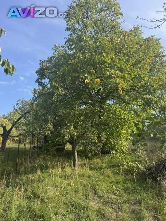 Foto inzerátu Prodej zahrady, Brno - Bosonohy