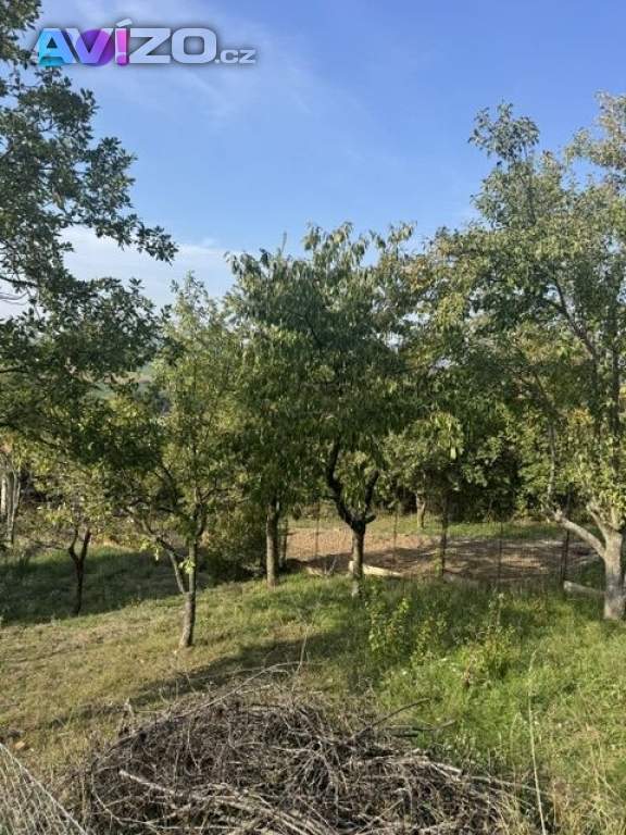 Foto inzerátu Prodej zahrady, Brno - Bosonohy