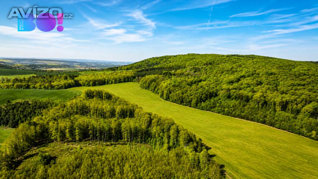 Foto inzerátu Prodej pozemku 1 428 m², Zástřizly