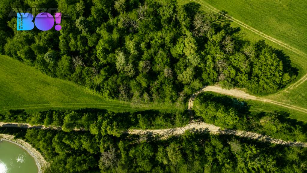 Foto inzerátu Prodej pozemku 1 062 m², Zástřizly