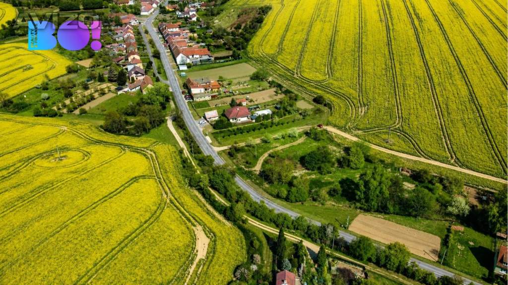 Foto inzerátu Prodej 1/3 pozemku, Jestřabice