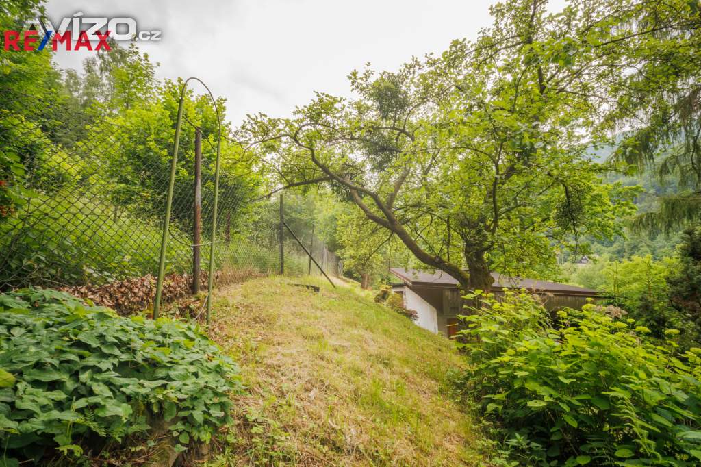 Foto inzerátu Prodej chaty 40 m², pozemek 658 m², Tyra