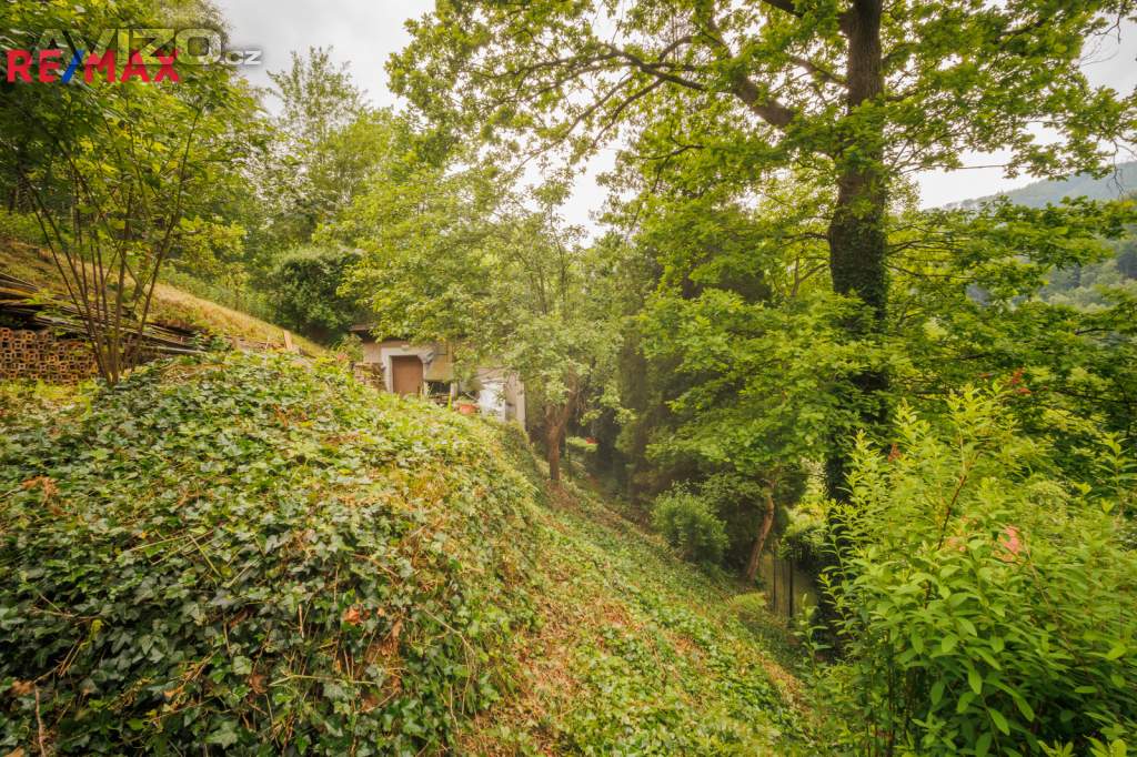 Foto inzerátu Prodej chaty 40 m², pozemek 658 m², Tyra