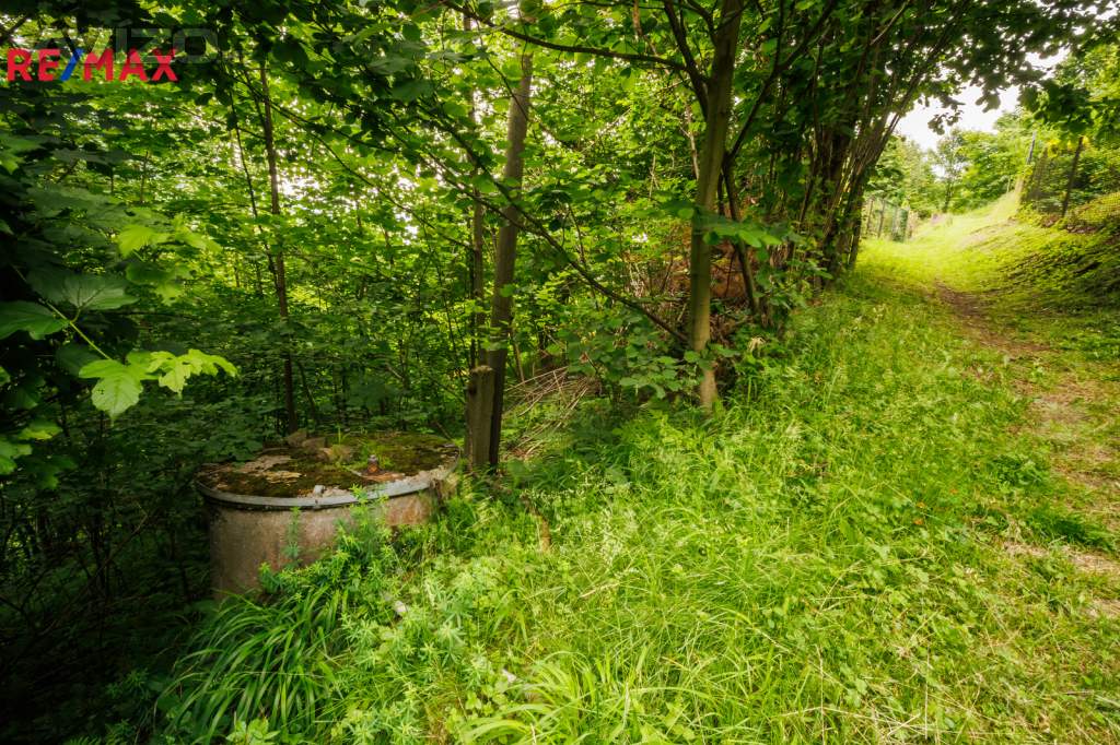 Foto inzerátu Prodej chaty 40 m², pozemek 658 m², Tyra