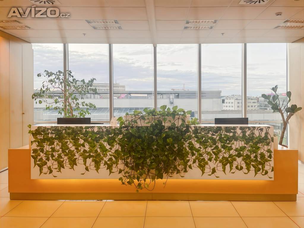 Foto inzerátu Pronájem kanceláře, 110 m² - Praha - Nusle