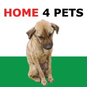 Home4Pets